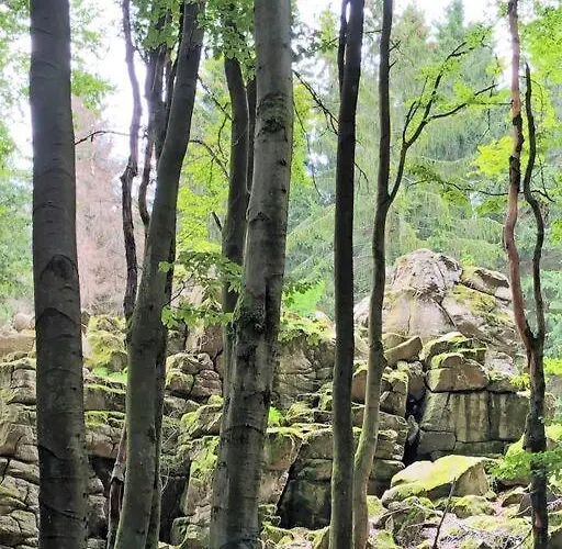 Casita - Sterneferienhaus Mit Garten, Sauna Und Wallbox
